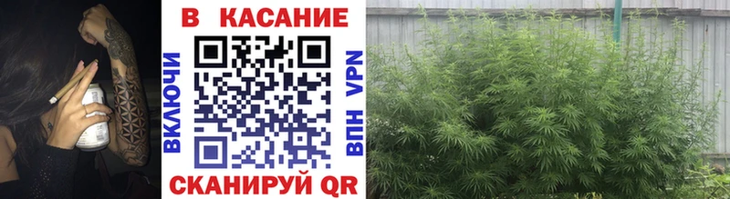 Купить наркотик аптеки Кумертау Cocaine  Бошки Шишки  Альфа ПВП  Гашиш  Меф 
