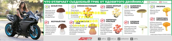 каннабис Пестово