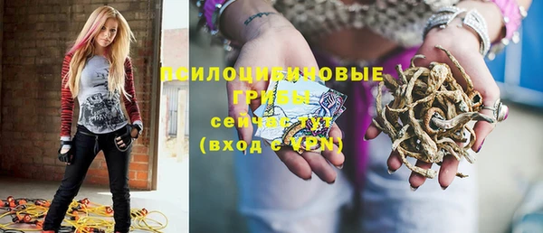 а пвп мука Абаза