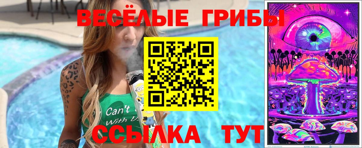 Галлюциногенные грибы Psilocybe Кумертау